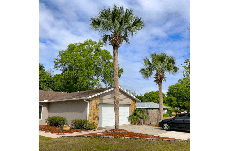 Tac Exteriors